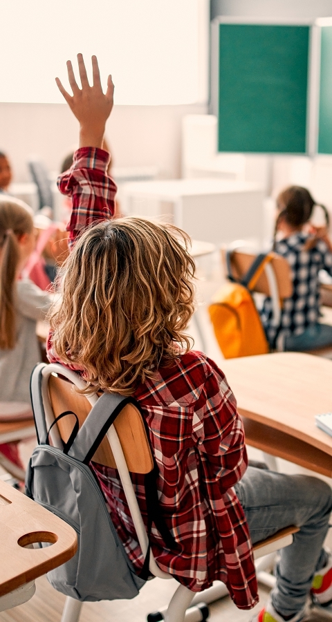 Student raising hand